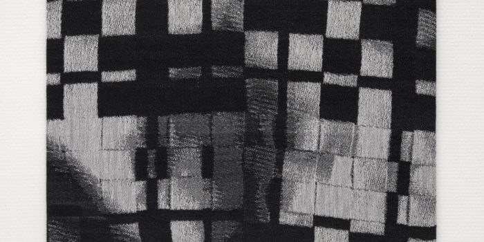 Tabby variation_02©Émile Barret